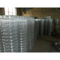 Galvanized Welded Wire Mesh (BWG20)